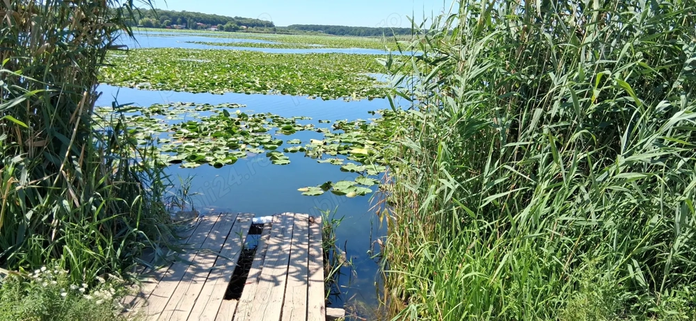 Vand teren lacul snagov