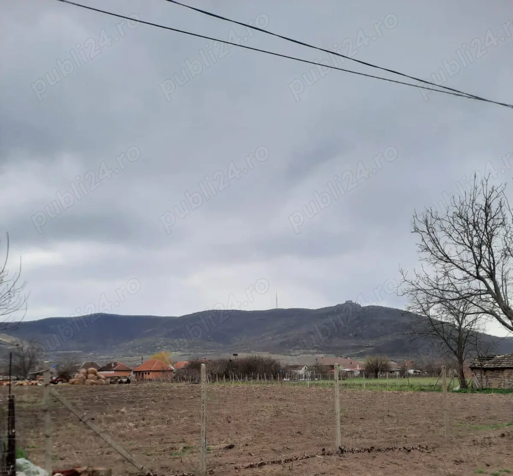 Teren intravilan galșa