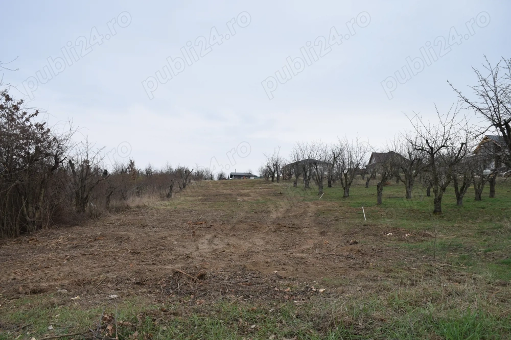 De vanzare teren 2600 Mp,intravilan,Paleu