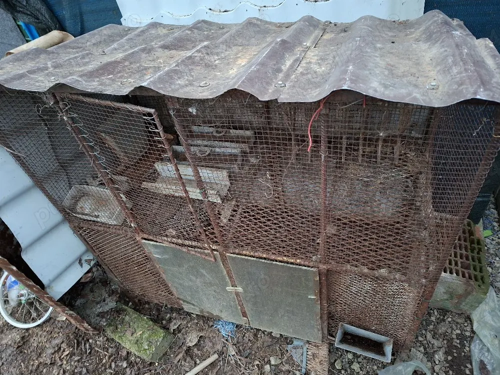 cusca iepuri supra etajata