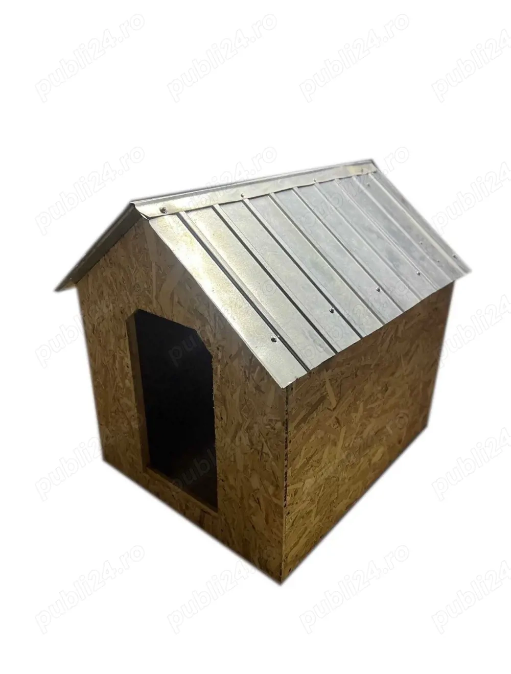 Vand cotet caine - orice dimensiune la cerere