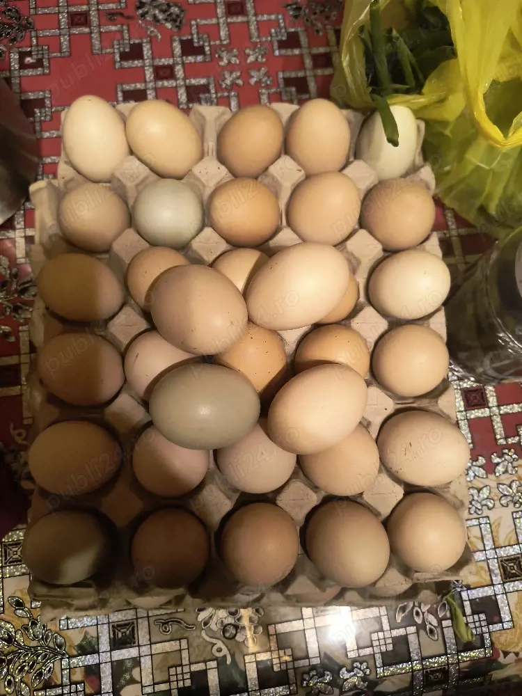ouă de găină.