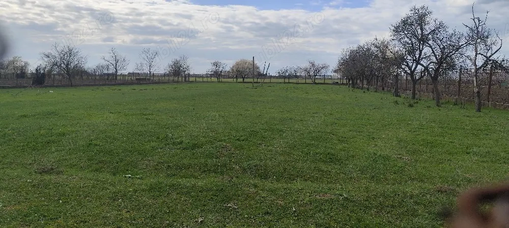 Teren intravilan Siria