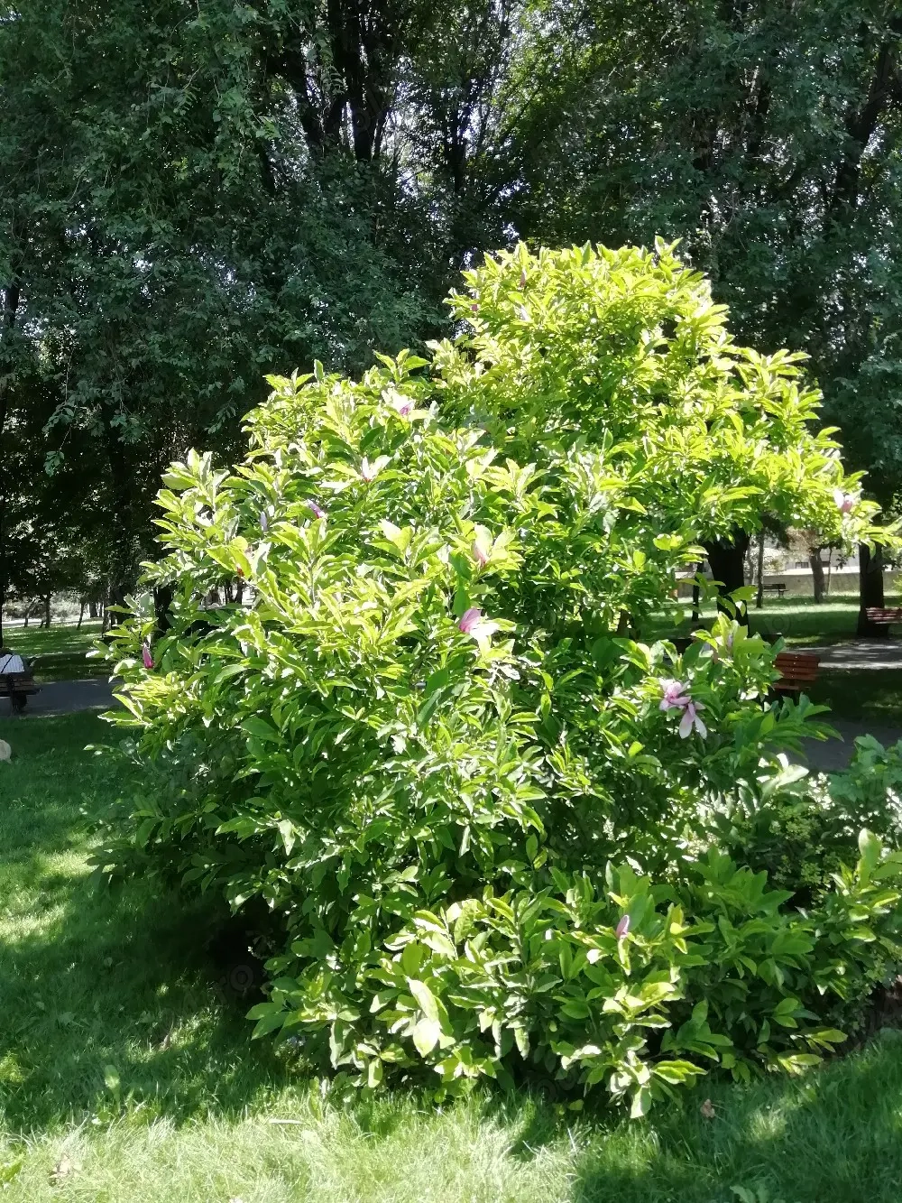 Vând loc de veci, preț Negociabil.