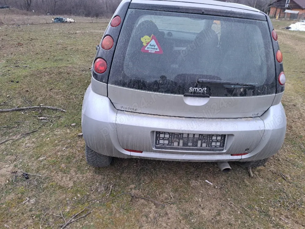 piese smart sau dau cu totul intreaga 