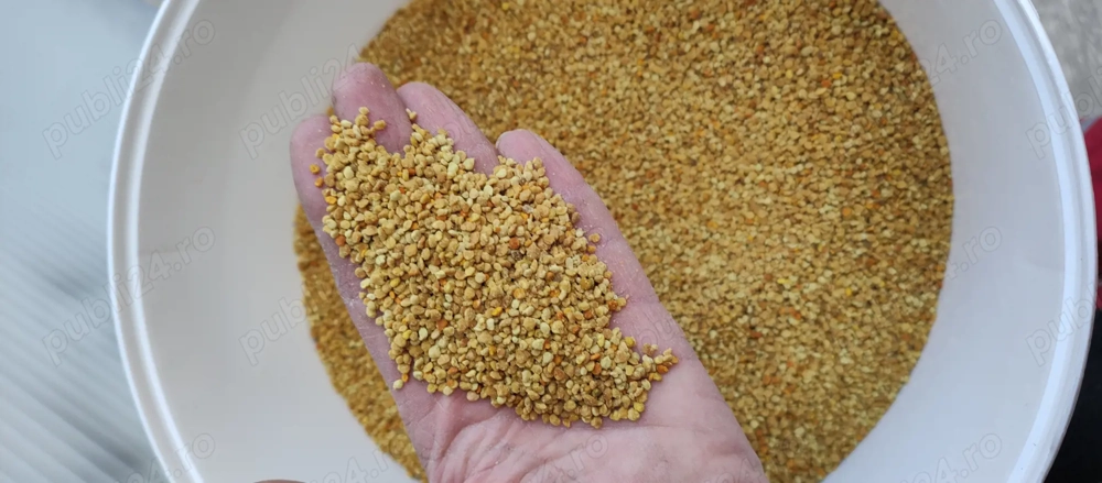 Polen crud, ecologic( și pentru porumbei)