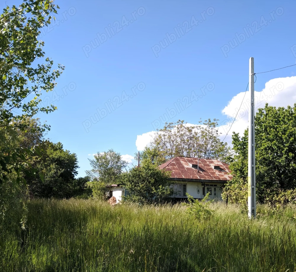 Teren 1 hectar iesire Dorohoi, intravilan si extravilan