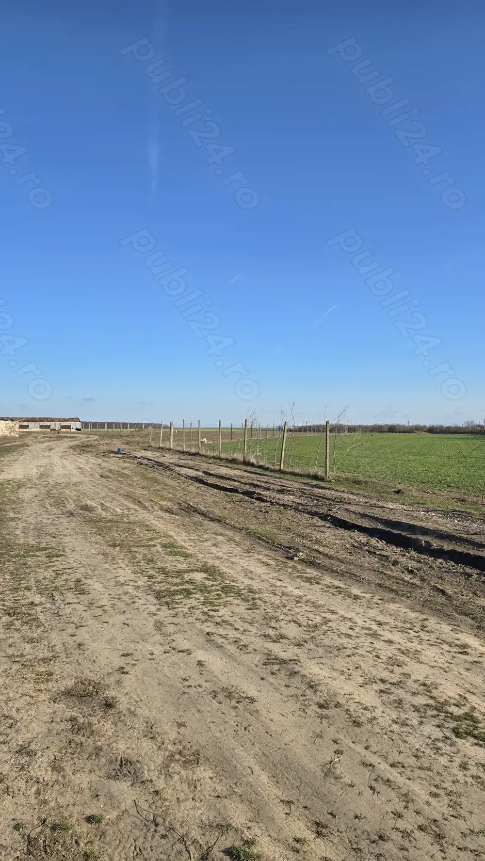 ,Teren Intravilan pentru gradini, afaceri,  COBADIN  jud. Constanta 800 mp