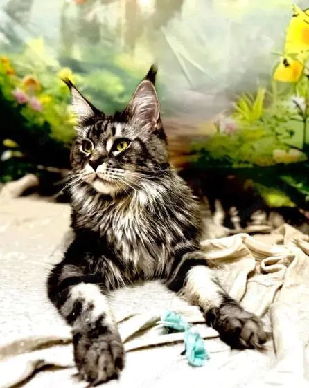 Transport autorizat de CAINI SI PISICI din Romania catre UK  28 APRILIE 2026