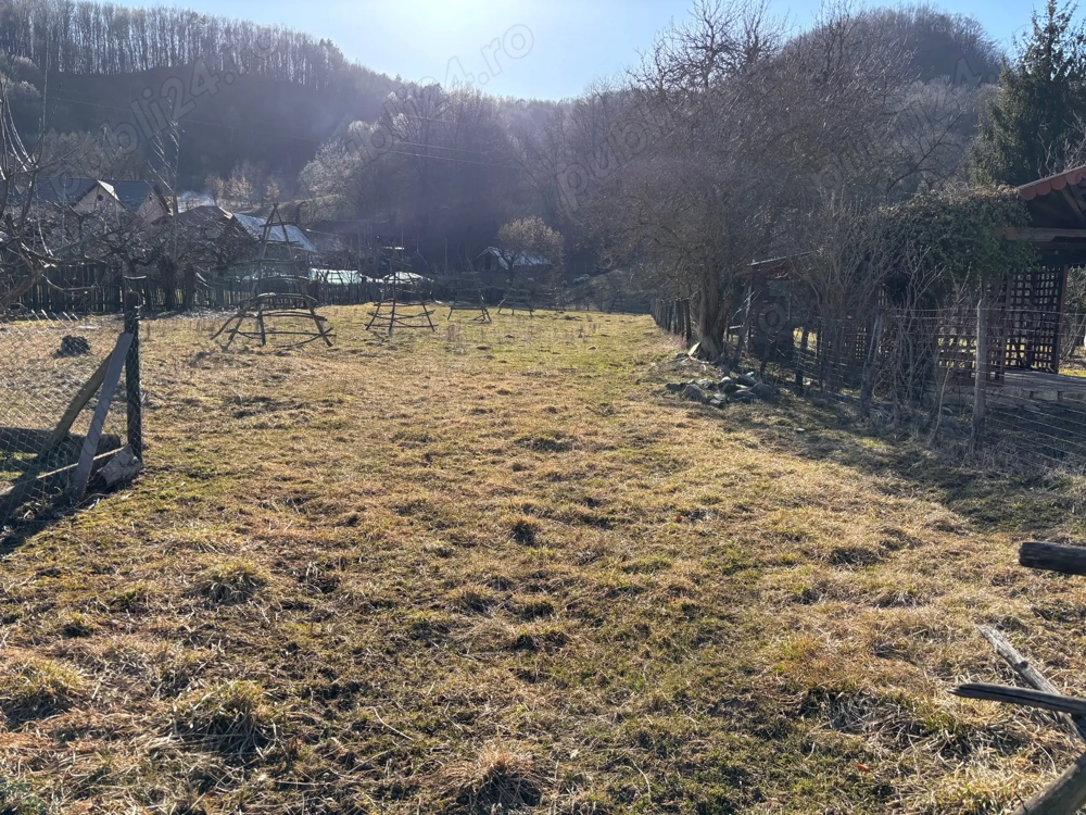 Ocazie rara - teren de vanzare in Bradulet, Arges