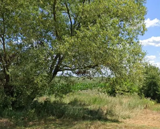 Teren intravilan 6000 mp în Drăgești Ungurești   ideal pentru casă sau agricultură