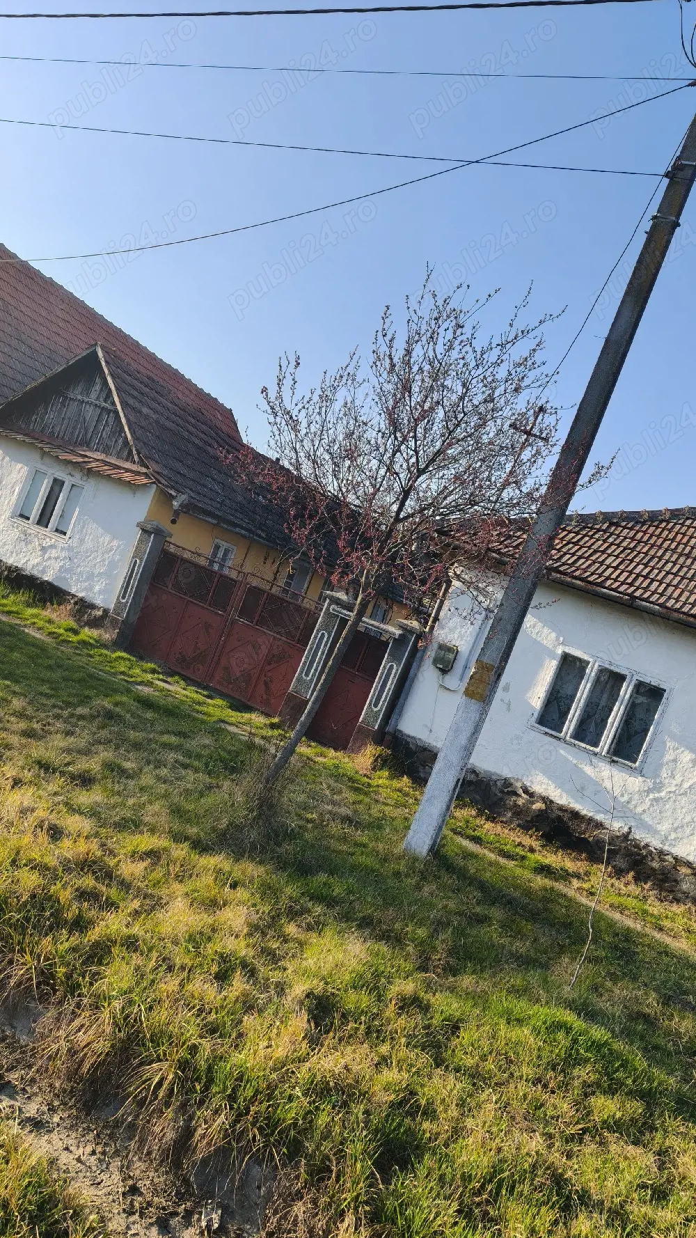 Casă de vânzare 