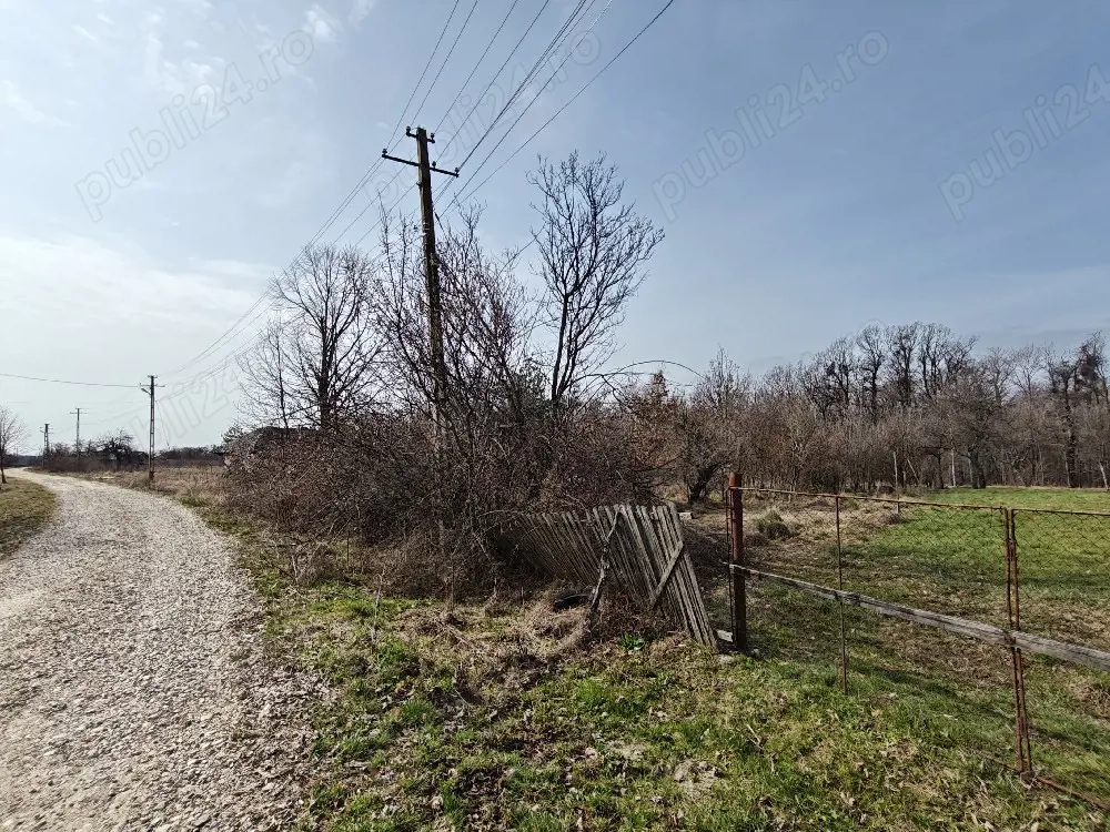 Teren Intravilan 1.472 mp Cotmeana - Lintești, Utilități la gard, lângă Pădure