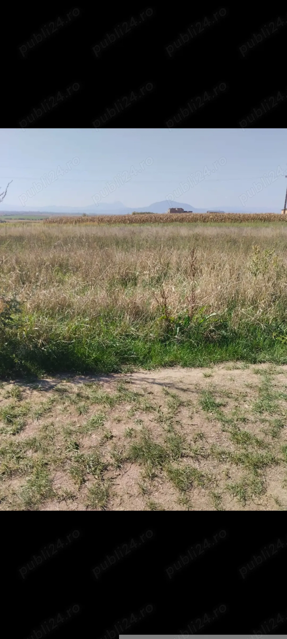 Vând teren intravilan Feldioara 