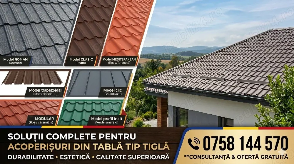 Executam Acoperișuri 