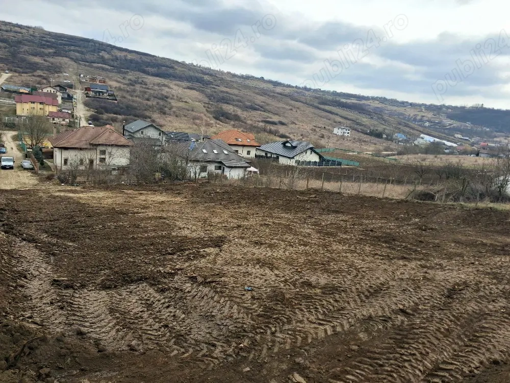 Teren intravilan Dorobanti