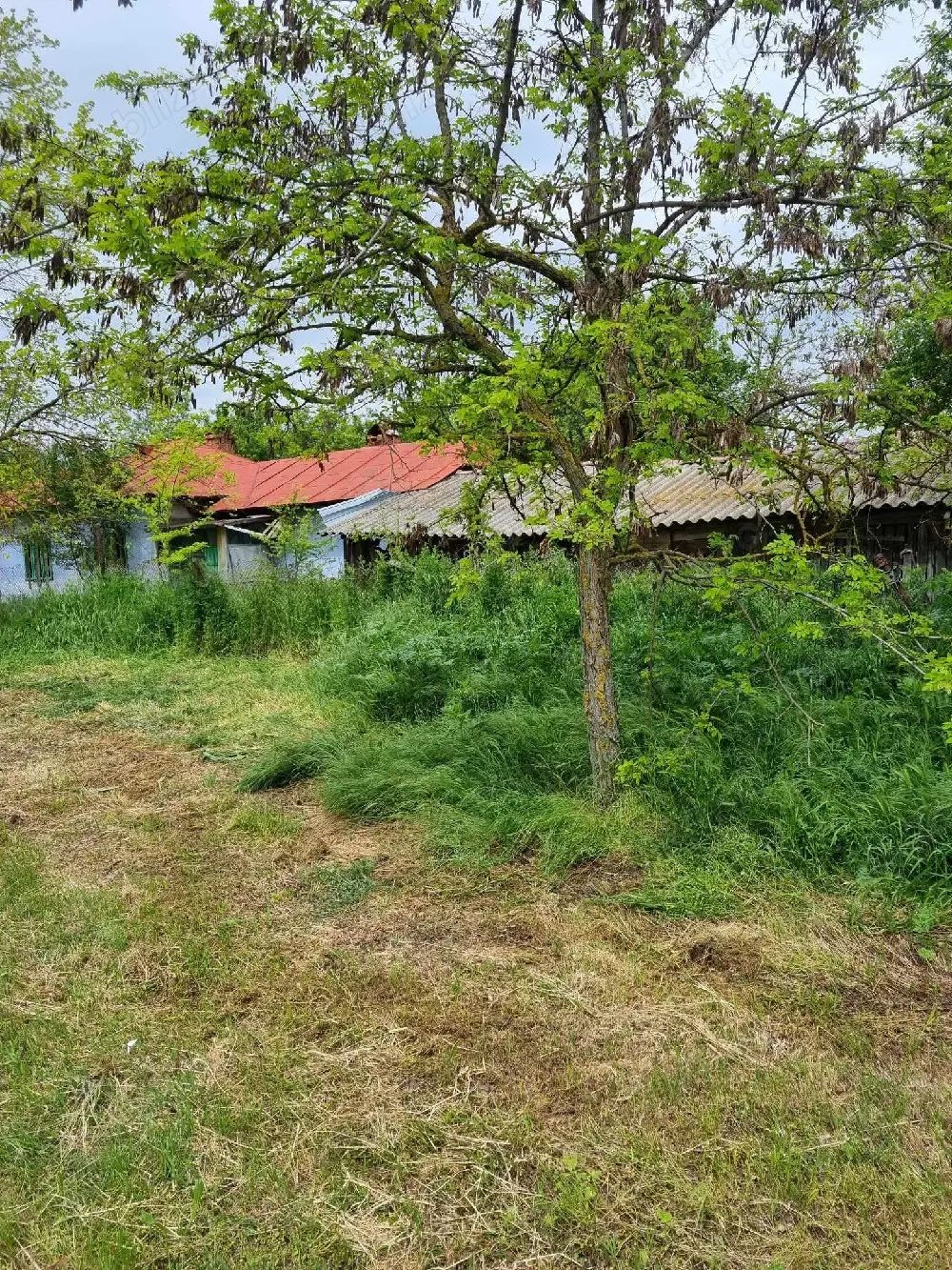casa de vanzare 