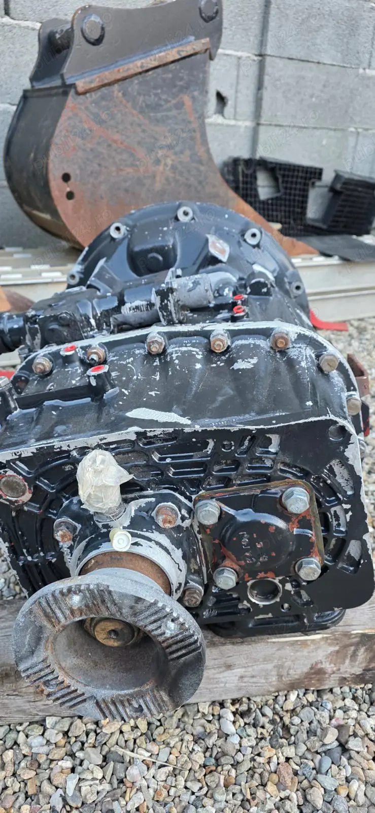 Cutie Viteze Man 224