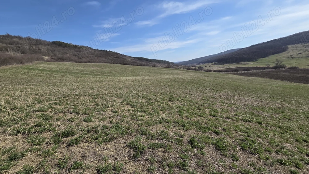 Teren extravilan de vânzare   Valea Chiejdului, Dej
