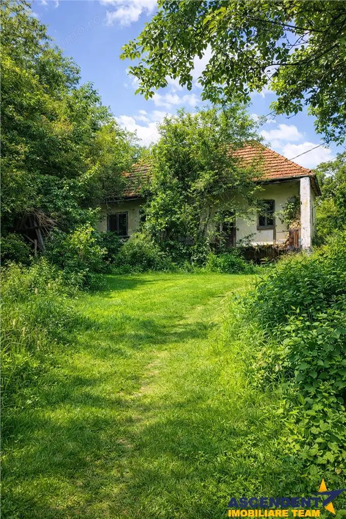 Domeniu verde autentic,  +5.000mp, front la DJ, Valcele, Brasov -- Covasna