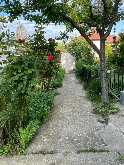 Vand casa ultracentral