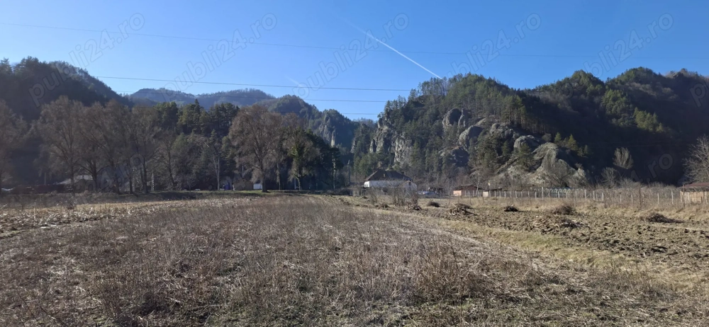 Teren de Vanzare Călinesti jud.Vâlcea