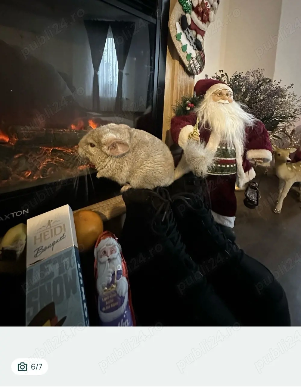 Vand sinsila mascul si femela sau dau la schimb pe atv cross sau scuter 