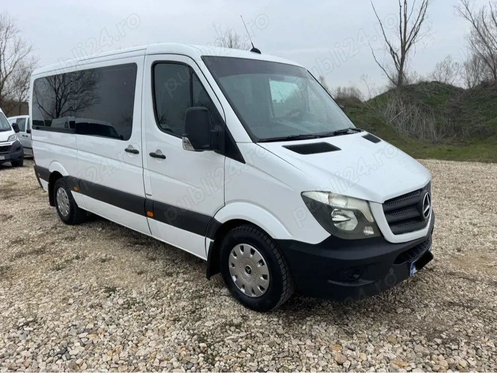 Mercedes Sprinter 319 Bluetec 9 locuri