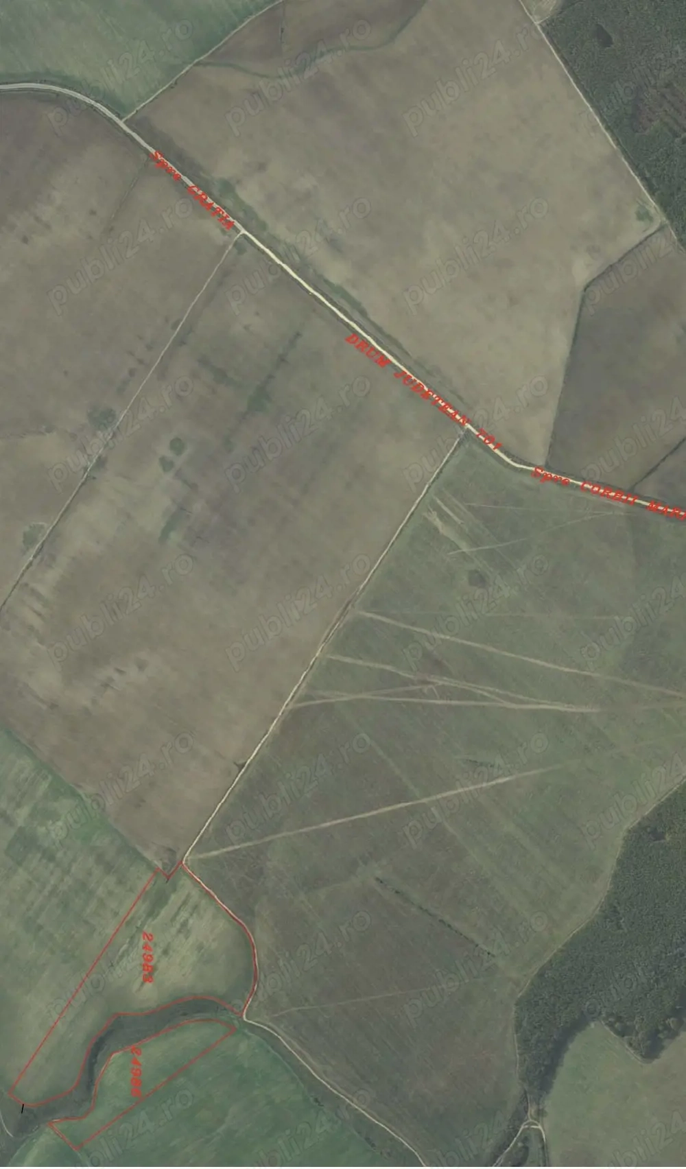 Teren agricol 49 Ha, comuna Gratia DJ 701 Teleorman