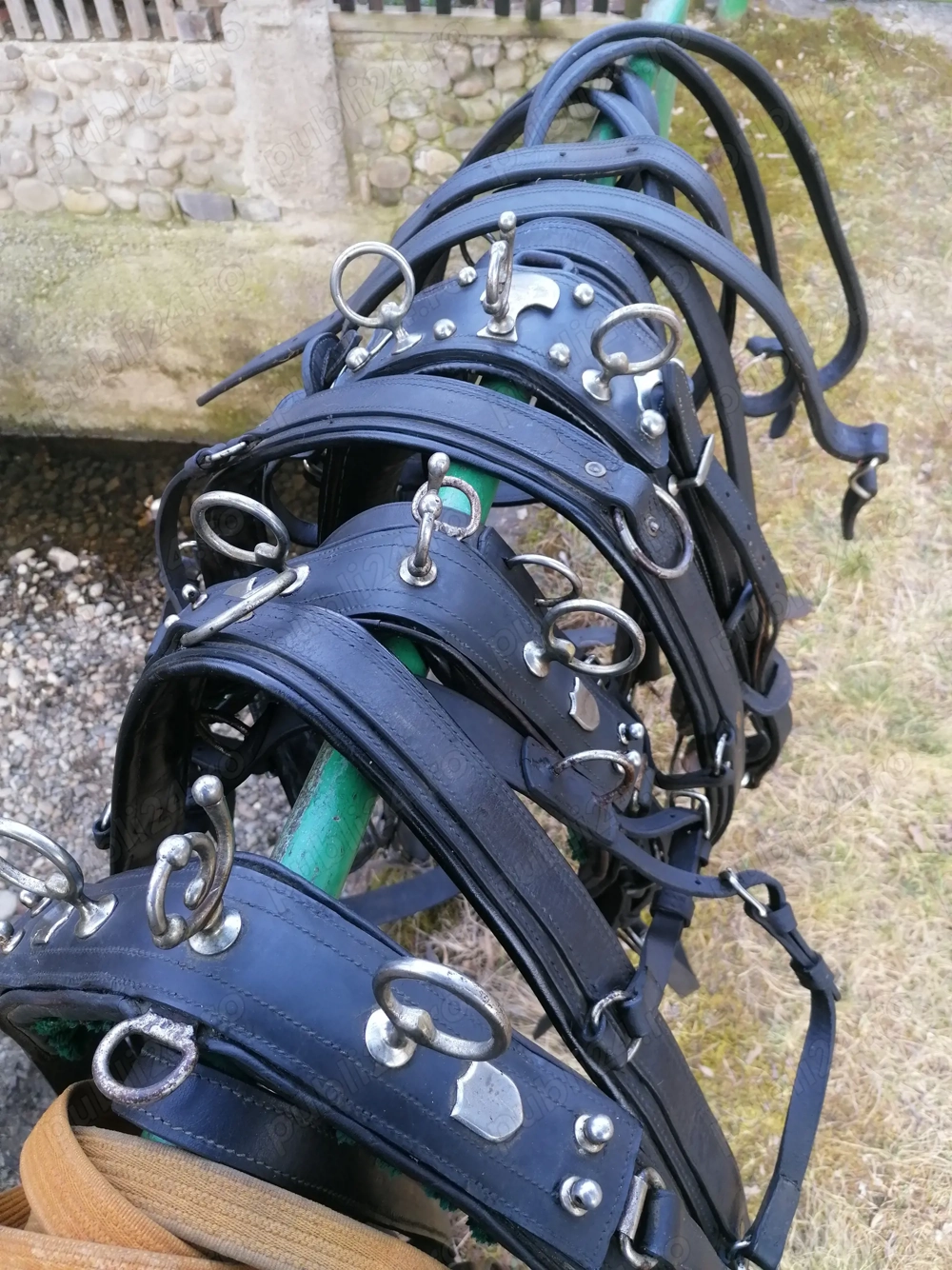 Hamuri caii trapasi. 