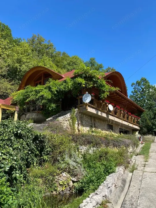 Domeniu exclusivist 17.000 mp | Vilă luxury cu piscină & SPA – Cărbunari
