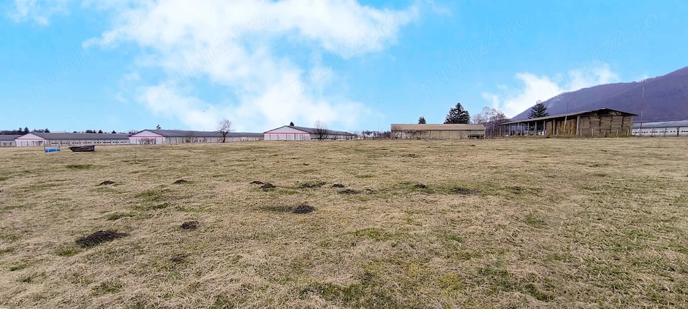 Brasov - teren intravilan industrial.