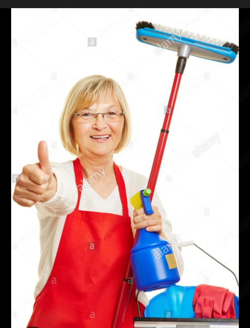 Menaj si curatenie apartament 600 ron pe luna