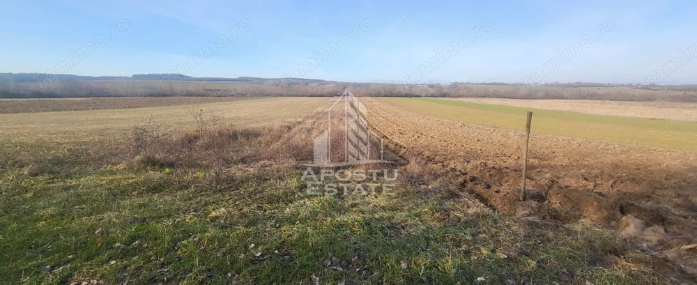 Teren agricol, Barsa, Eligibil pentru fonduri Europene