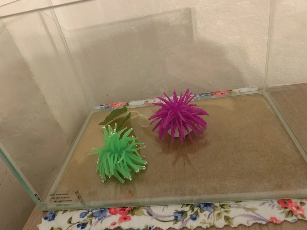 Acvarii 12L+6.5L+1.2L