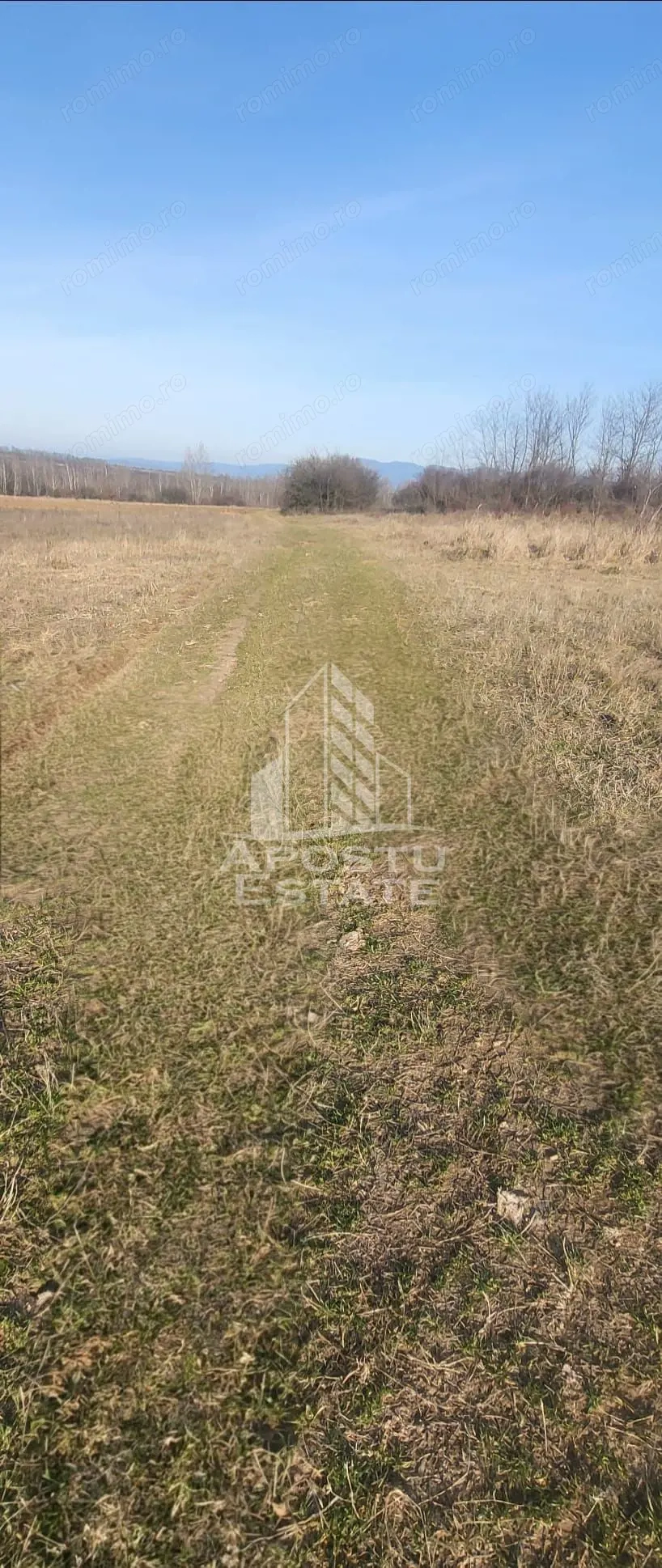 TEREN AGRICOL 1,524 HA, LA DOAR 10.000€ Comision Zero %