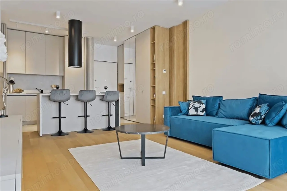 APARTAMENT 2 CAMERE DE  #206;NCHIRIAT  #206;N ONE TIMPURI NOI