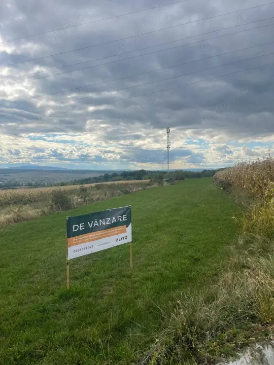 Teren pentru investitie