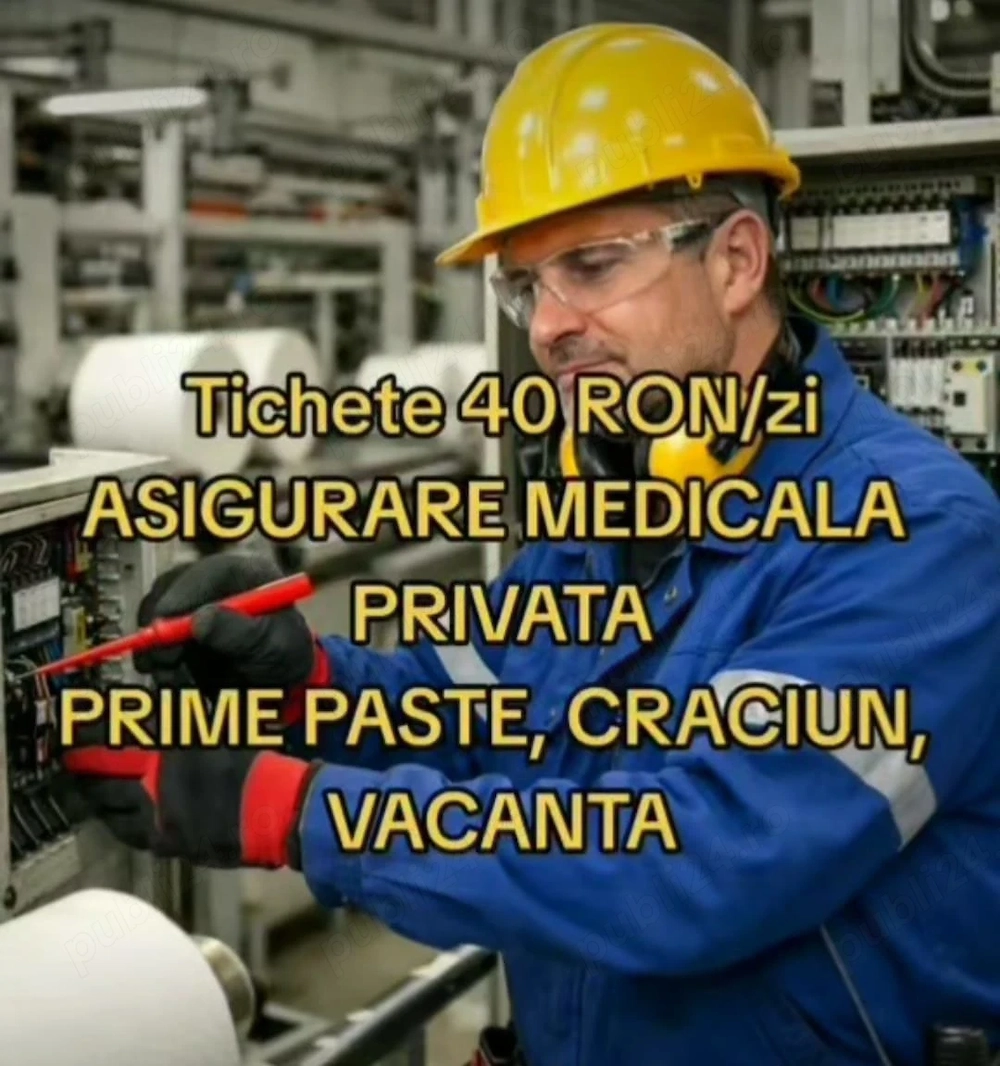 Electrician Mentenanta in fabrica de productie