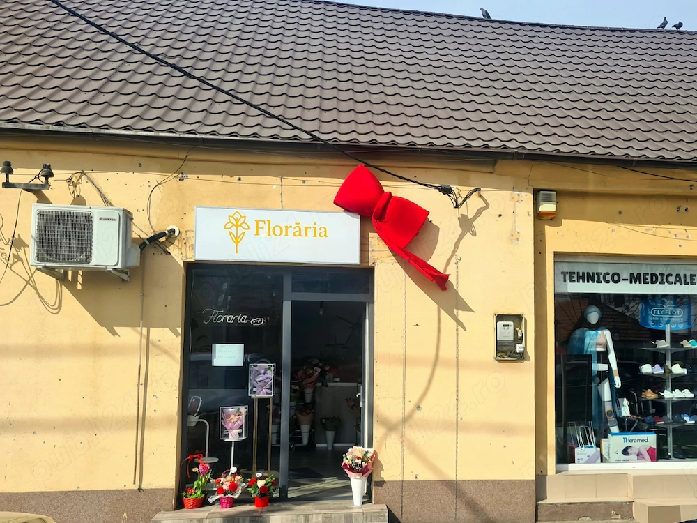 Proprietar spatiu Barnutiu