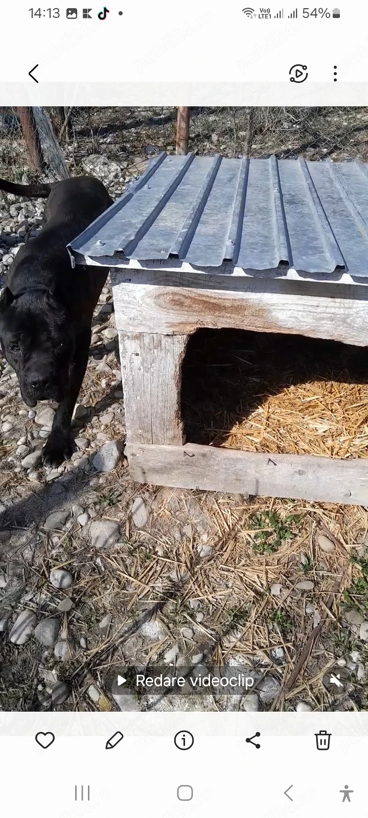 Cușcă câine  talie mare 100 ron buc