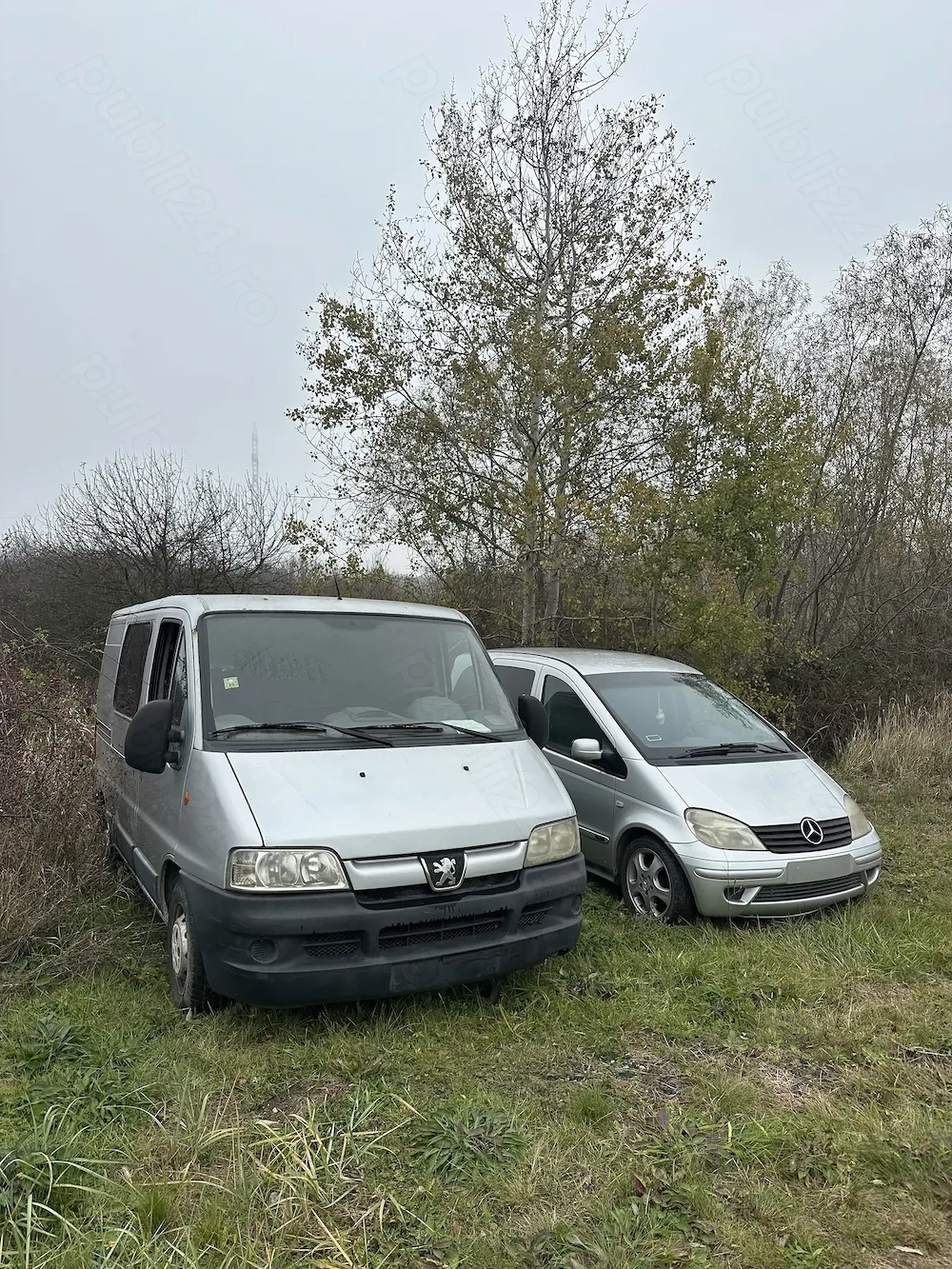 Mercedes Vaneo și Peugeot boxer la Pachet