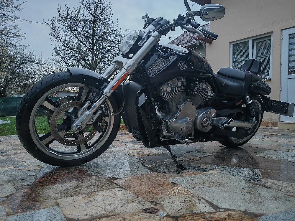 Harley Davidson v-rod Muscle 