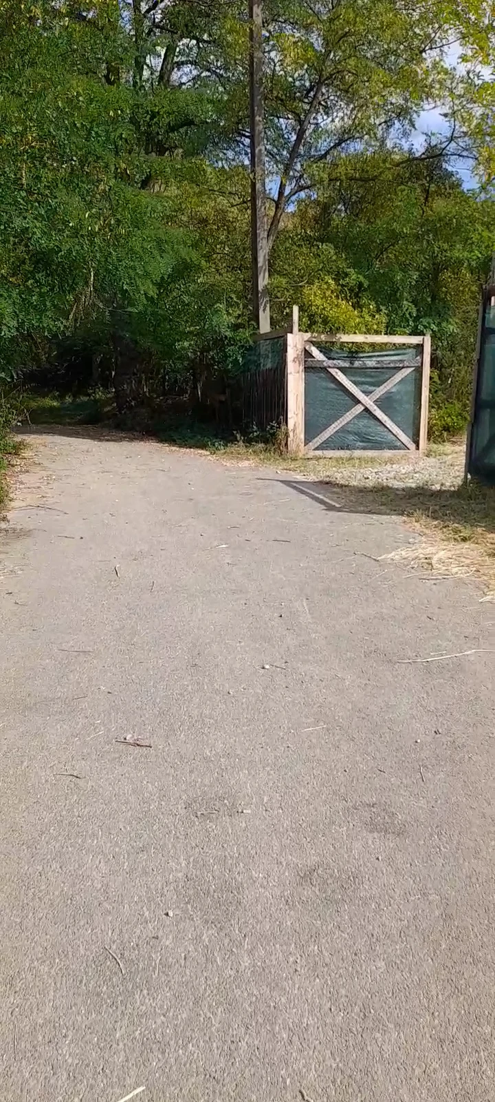 teren intravilan langa padure