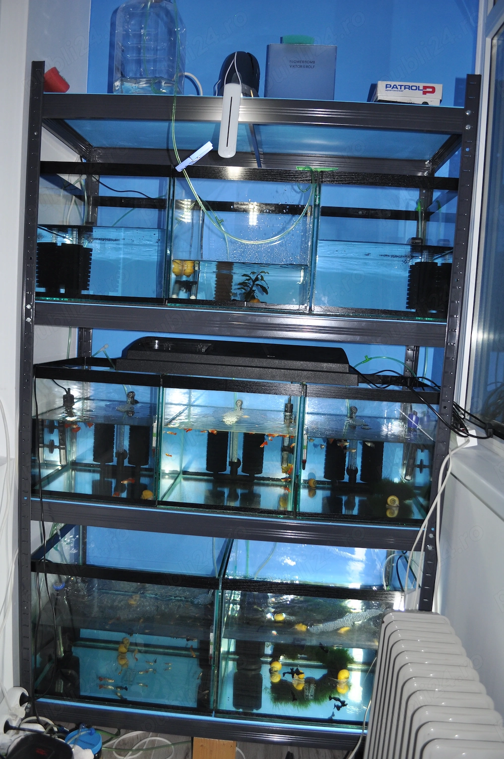 Vânzare acvarii, filtre, pompă aer, multe fitinguri