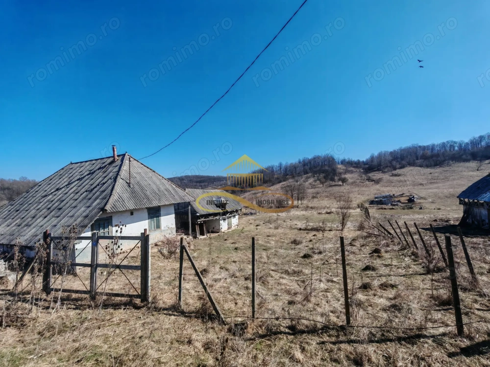 Vand teren intravilan Stejaru Bacau