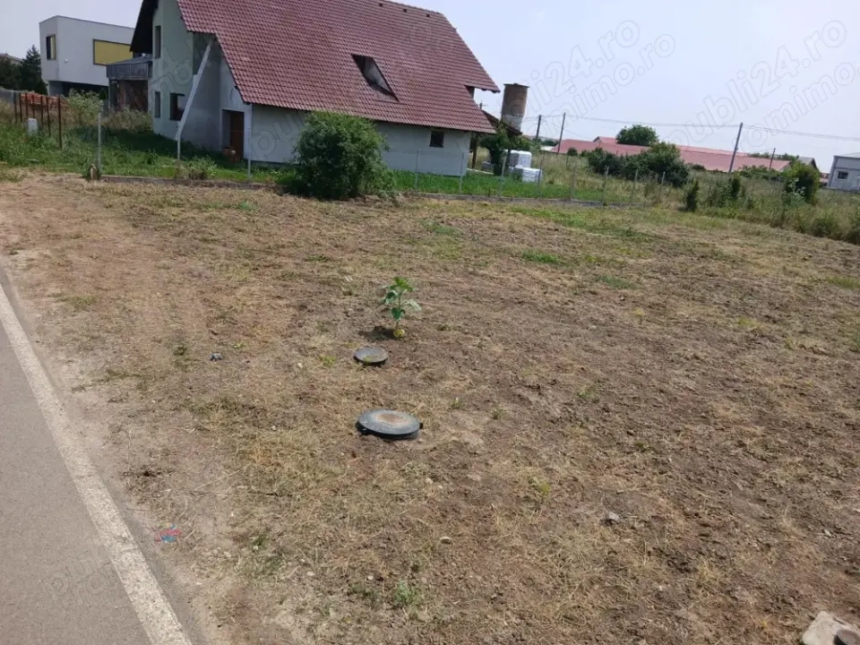 Dudestii Noi - Teren Constructii