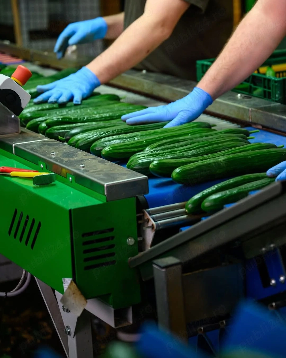 Cautam cupluri la   sortat  la.banda 