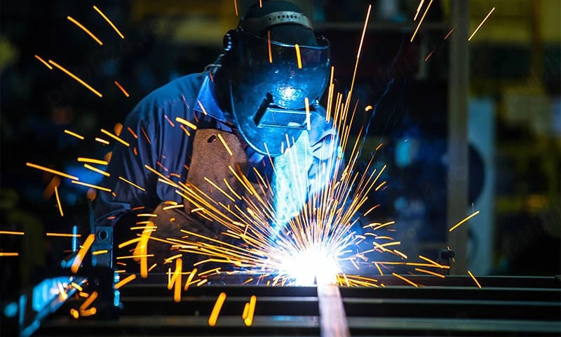 Angajam Sudori in Carcea, Dolj