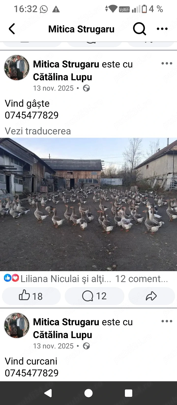 vind ouă de gîscă touluz 